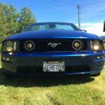 Ford mustang blue grill