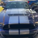 GT shelby 2010 bla panser